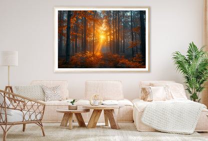 Autumn Forest in the Morning Home Decor Premium Quality Poster Print Choose Your Sizes - Bella Home Decor