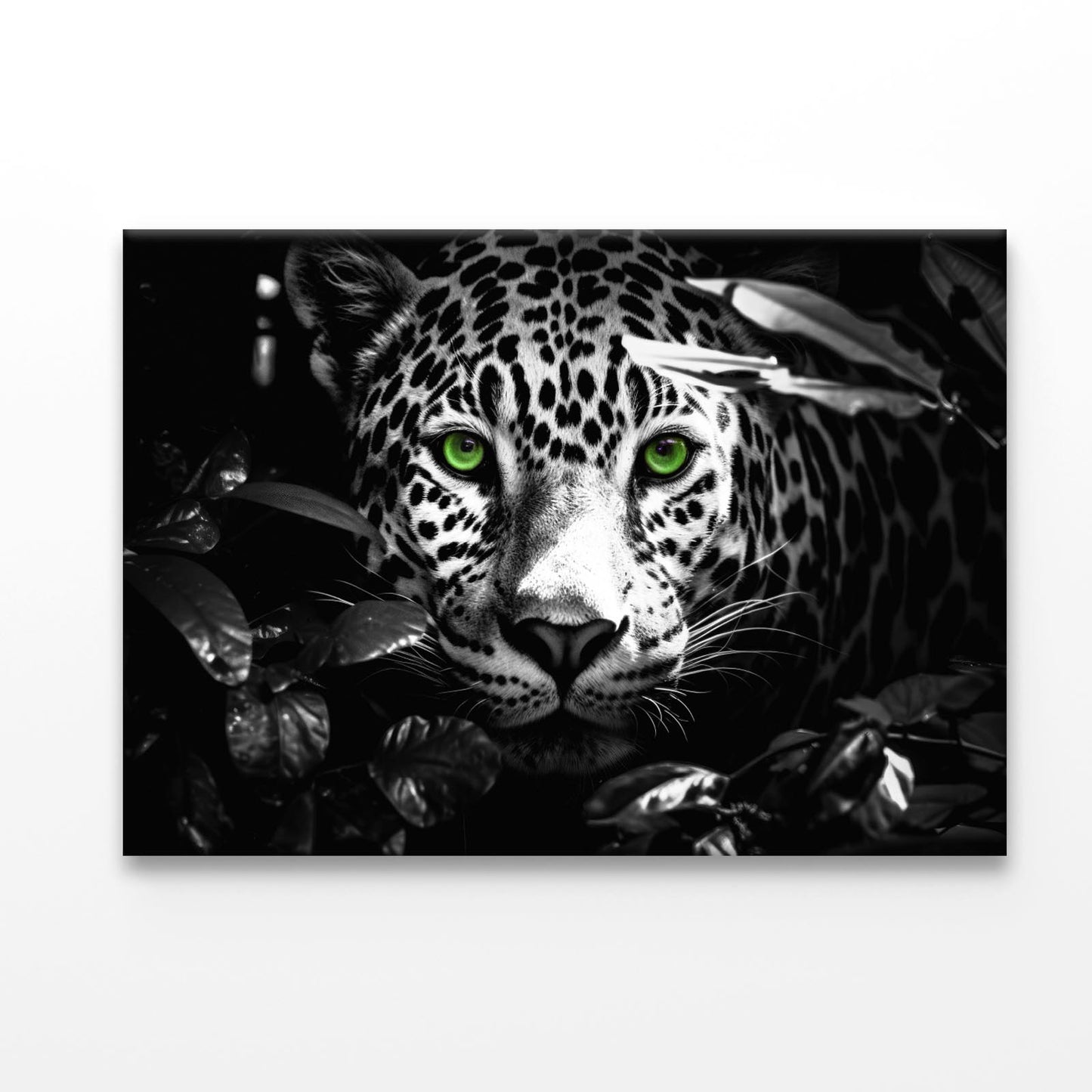 Close-Up Exotic Forest Animal Acrylic Glass Print Tempered Glass Wall Art 100% Made in Australia Ready to Hang