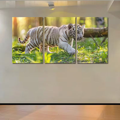 3pcs White Tiger Cub Wall Art Set Canvas Framed 50x70cm - High Quality Print 100% Australian Made Wall Canvas Ready to Hang