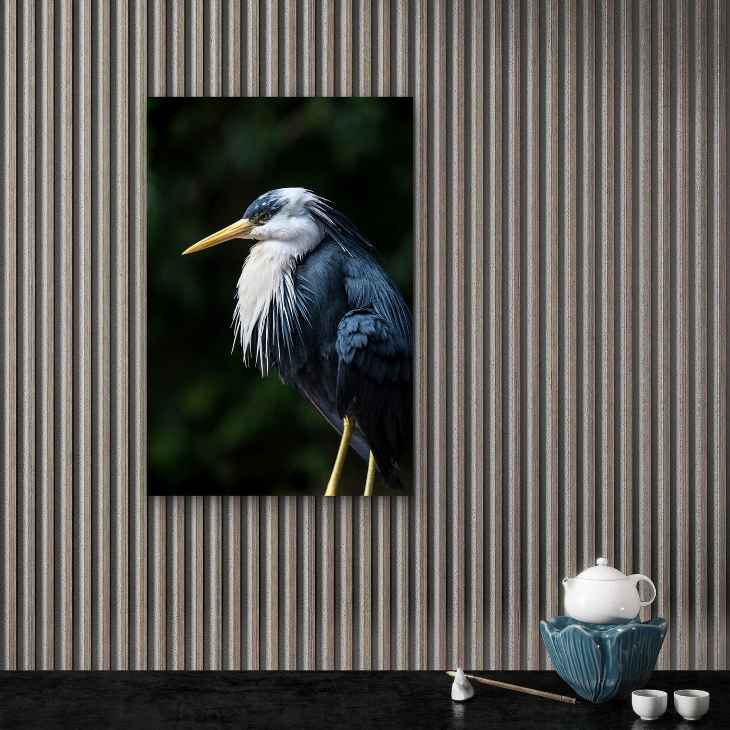 Close Up of Pied Heron 40x60cm Metal Print Ready to Hang