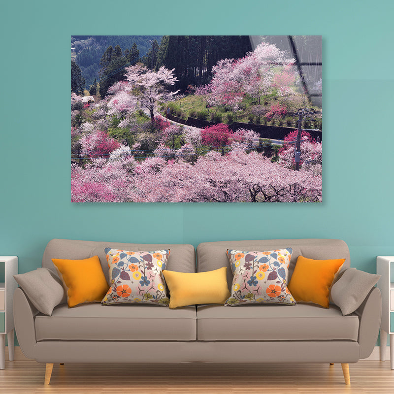 Beautiful Cherry Blossom in Japan Acrylic Glass Print Tempered Glass Wall Art 100% Made in Australia Ready to Hang - Bella Home Decor