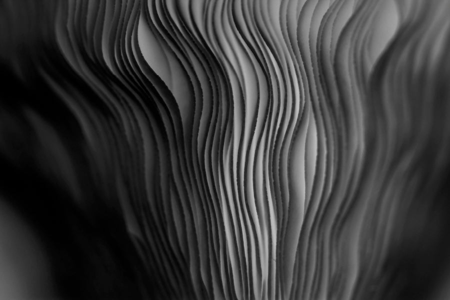 Close Up of a Black and White Abstract Wall Art Decor 100% Australian Made