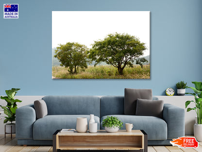 A Couple of Trees in the Grasslands under Sky Print 100% Australian Made