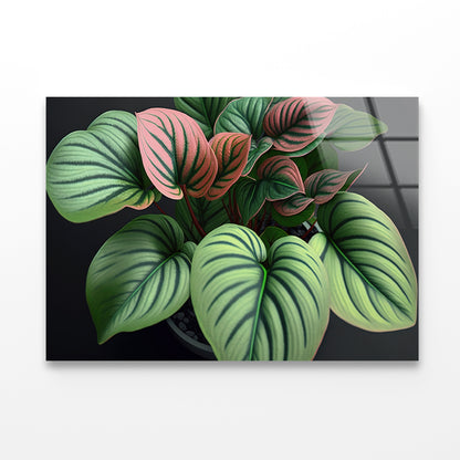 Green Orchid Flowers Pattern Acrylic Glass Print Tempered Glass Wall Art 100% Made in Australia Ready to Hang - Bella Home Decor