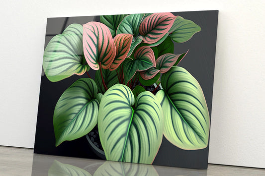 Green Orchid Flowers Pattern Acrylic Glass Print Tempered Glass Wall Art 100% Made in Australia Ready to Hang - Bella Home Decor