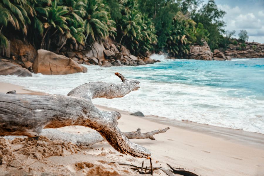 Rocks And Palm Trees Along the Shore, Seychelles Wall Art Decor 100% Australian Made - Bella Home Decor