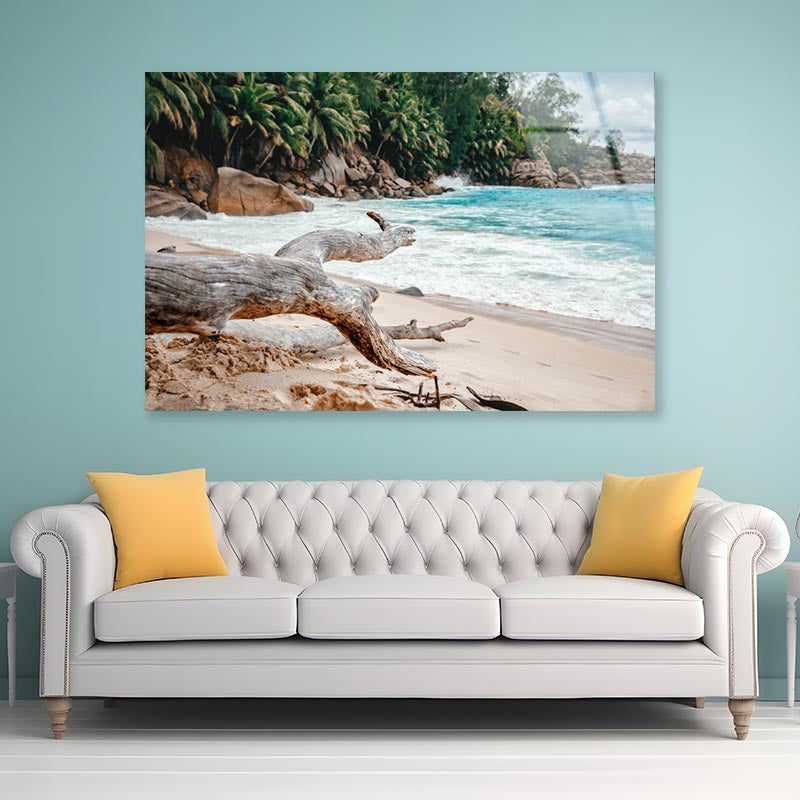 Rocks And Palm Trees Along the Shore, Seychelles Acrylic Glass Print Tempered Glass Wall Art 100% Made in Australia Ready to Hang