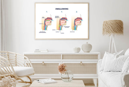 Swallowing Process Explanation Home Decor Premium Quality Poster Print Choose Your Sizes