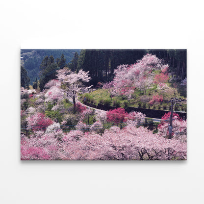 Beautiful Cherry Blossom in Japan Print 100% Australian Made - Bella Home Decor