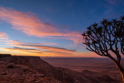 A Tree Standing On a Hill & Wonderful Sky in Namibia Home Decor Premium Quality Poster Print Choose Your Sizes