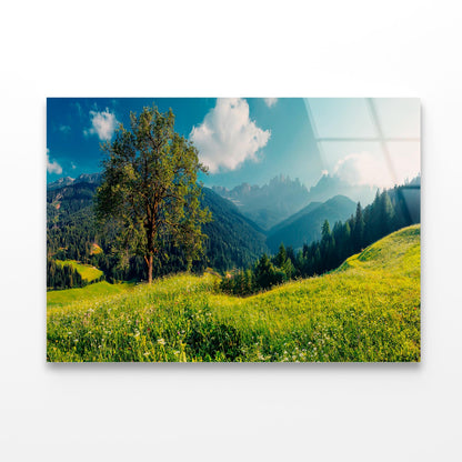 The Alps with Fresh Green Meadows with Mountains Acrylic Glass Print Tempered Glass Wall Art 100% Made in Australia Ready to Hang