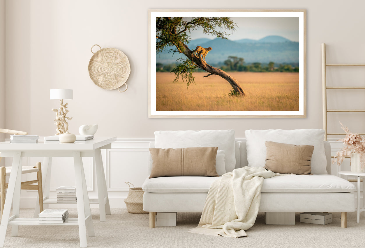 Cheetah Stands On Twisted Tree in Grassland Home Decor Premium Quality Poster Print Choose Your Sizes