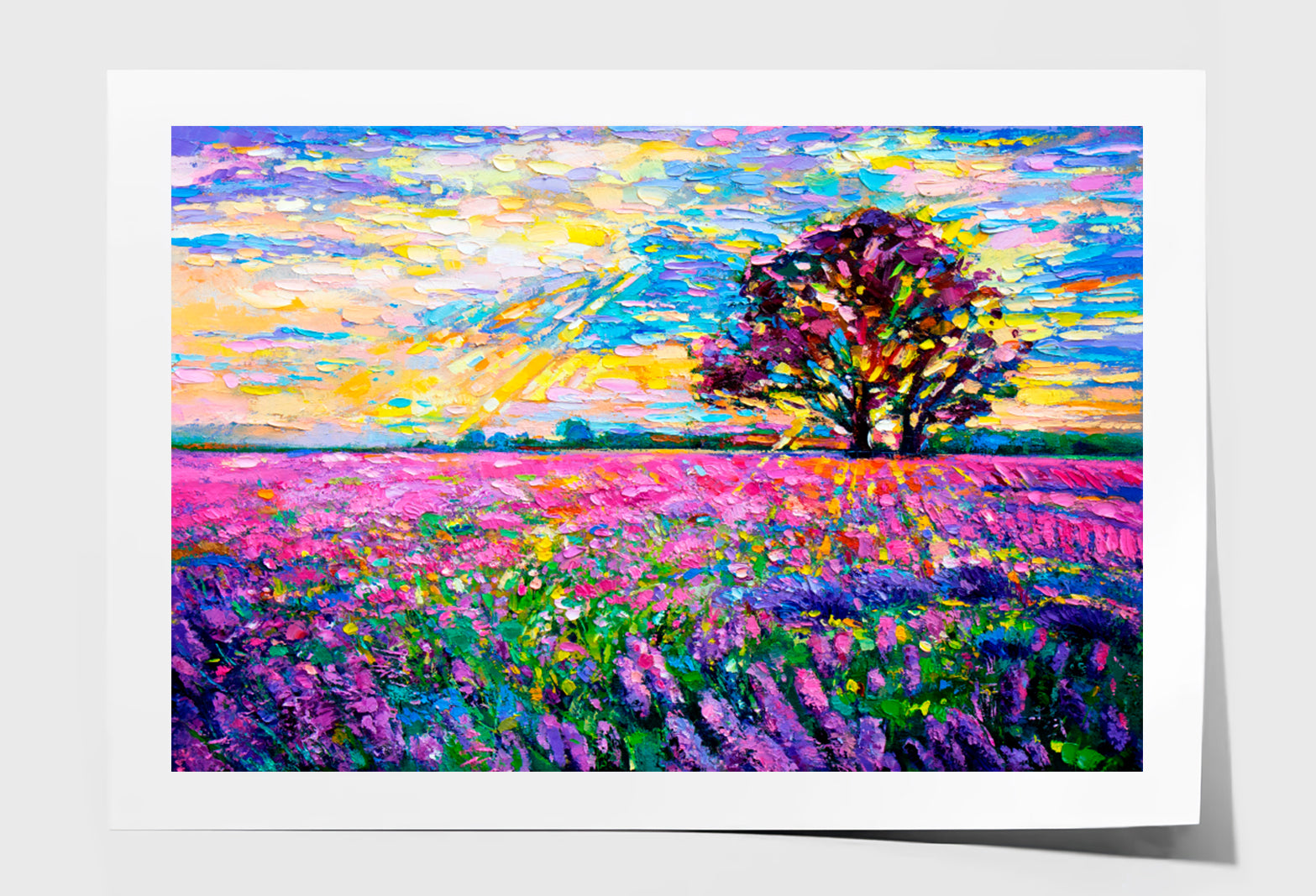 Lavender Field Oil Painting Wall Art Limited Edition High Quality Print Unframed Roll Canvas None