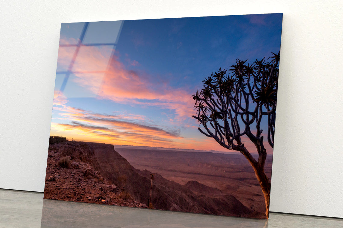 A Tree Standing On a Hill & Wonderful Sky in Namibia Acrylic Glass Print Tempered Glass Wall Art 100% Made in Australia Ready to Hang