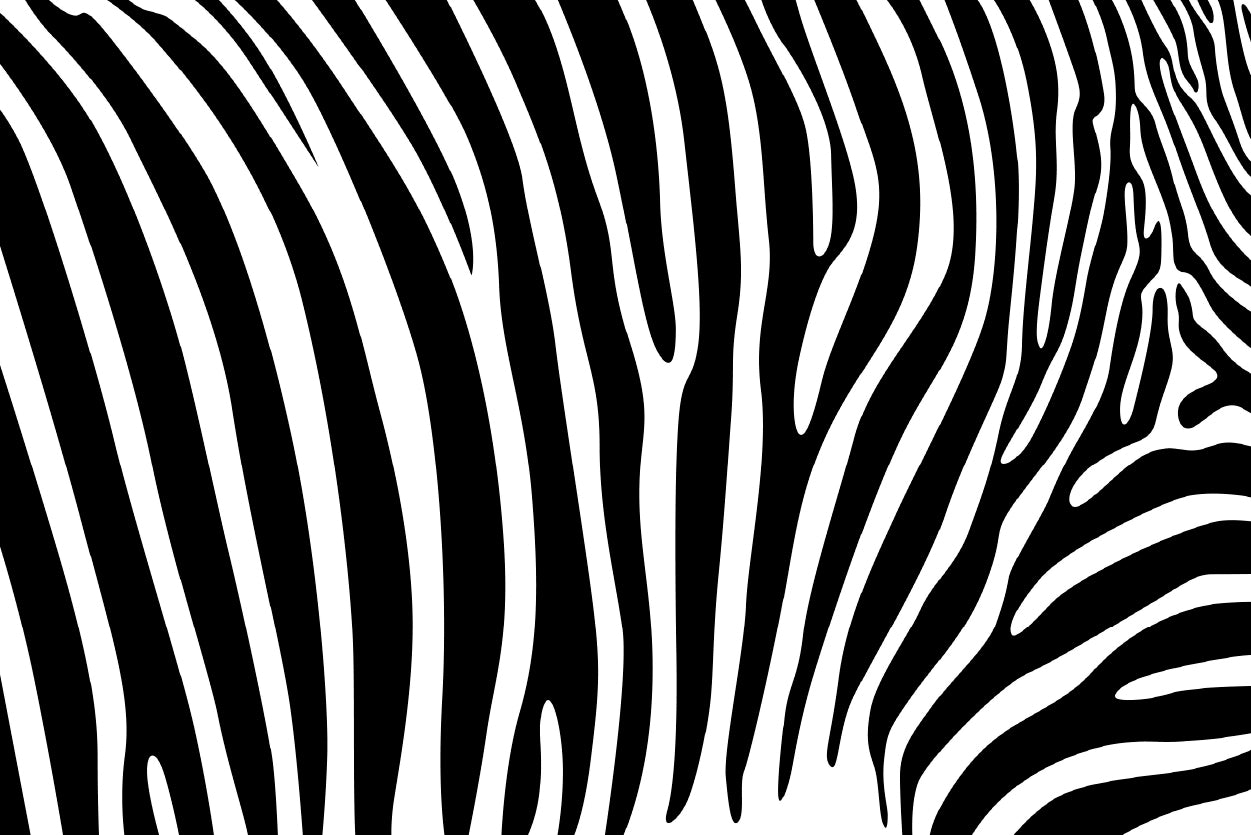 Black And White Zebra Pattern Home Decor Premium Quality Poster Print Choose Your Sizes - Bella Home Decor