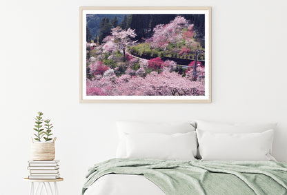 Beautiful Cherry Blossom in Japan Home Decor Premium Quality Poster Print Choose Your Sizes - Bella Home Decor
