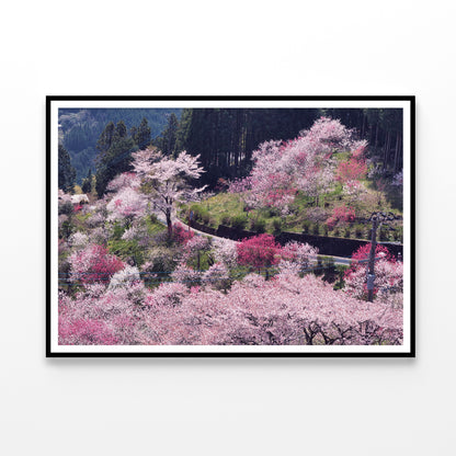 Beautiful Cherry Blossom in Japan Home Decor Premium Quality Poster Print Choose Your Sizes - Bella Home Decor