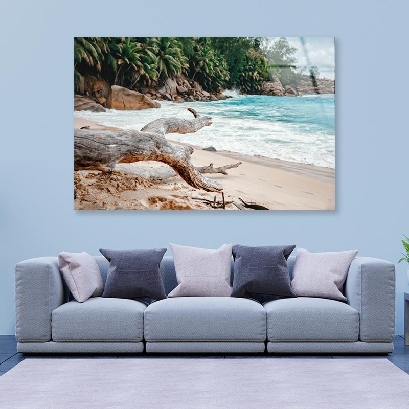 Rocks And Palm Trees Along the Shore, Seychelles Acrylic Glass Print Tempered Glass Wall Art 100% Made in Australia Ready to Hang