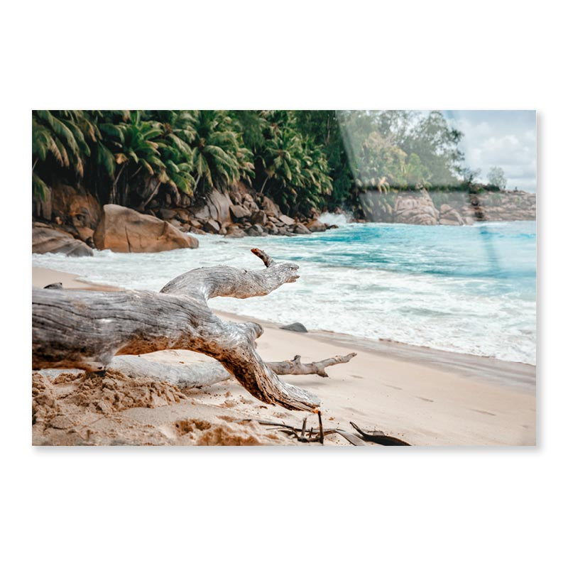 Rocks And Palm Trees Along the Shore, Seychelles Acrylic Glass Print Tempered Glass Wall Art 100% Made in Australia Ready to Hang