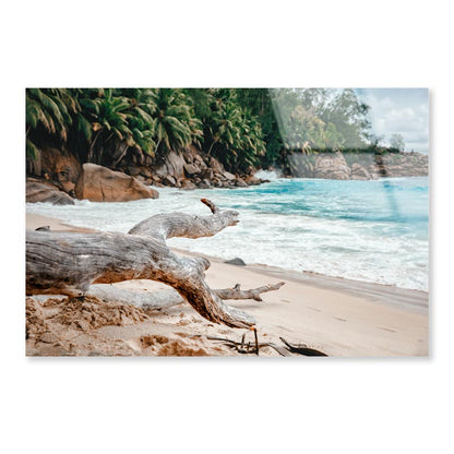 Rocks And Palm Trees Along the Shore, Seychelles Acrylic Glass Print Tempered Glass Wall Art 100% Made in Australia Ready to Hang