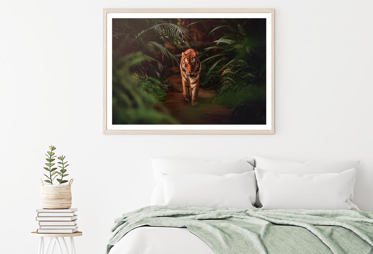 Tiger Prowling Through Dense Jungle Foliage Home Decor Premium Quality Poster Print Choose Your Sizes