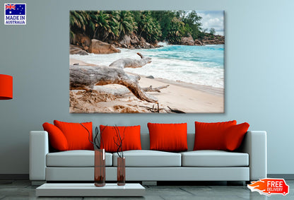 Rocks And Palm Trees Along the Shore, Seychelles Wall Art Decor 100% Australian Made - Bella Home Decor