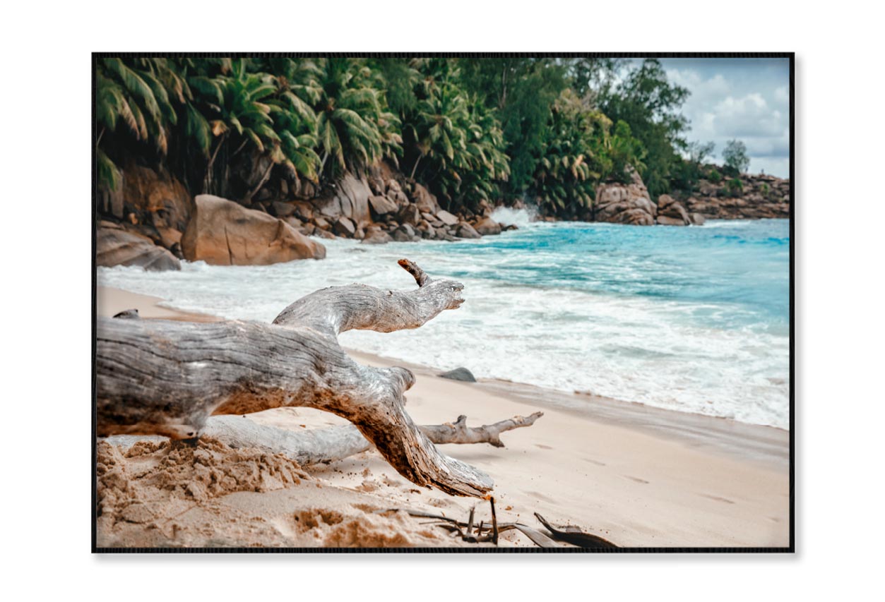 Rocks And Palm Trees Along the Shore, Seychelles Home Decor Premium Quality Poster Print Choose Your Sizes