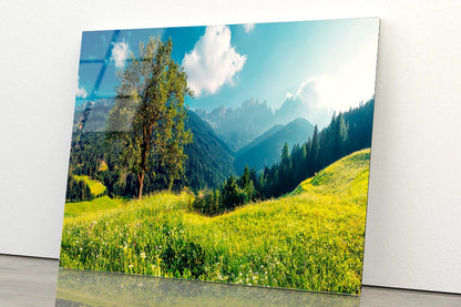 The Alps with Fresh Green Meadows with Mountains Acrylic Glass Print Tempered Glass Wall Art 100% Made in Australia Ready to Hang