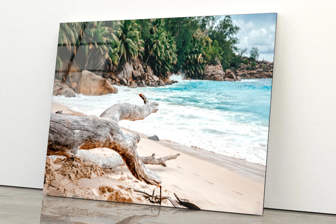 Rocks And Palm Trees Along the Shore, Seychelles Acrylic Glass Print Tempered Glass Wall Art 100% Made in Australia Ready to Hang