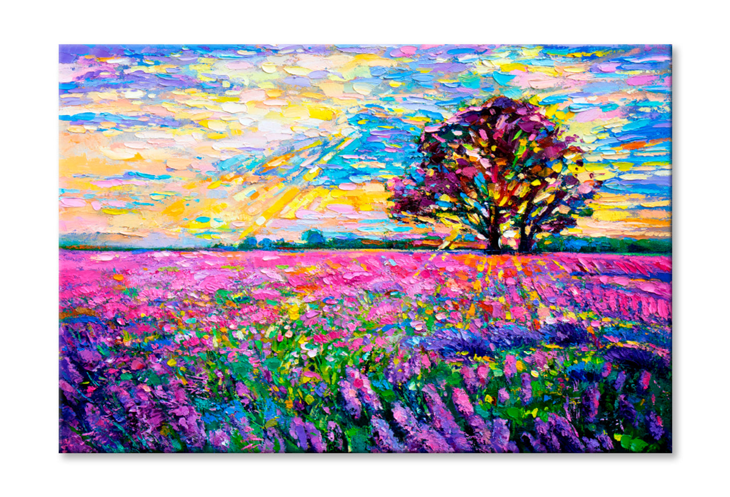 Lavender Field Oil Painting Wall Art Limited Edition High Quality Print Stretched Canvas None