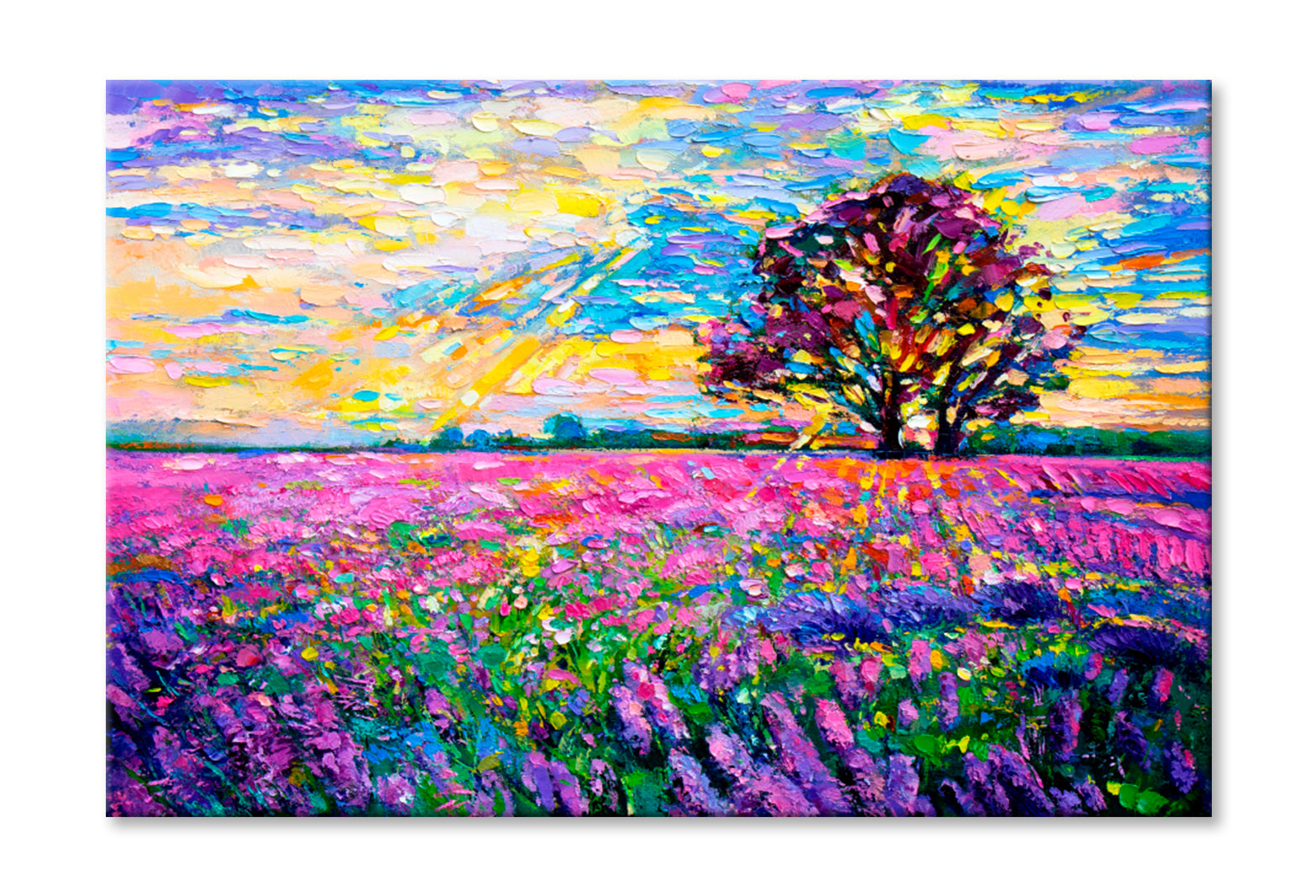 Lavender Field Oil Painting Wall Art Limited Edition High Quality Print Stretched Canvas None