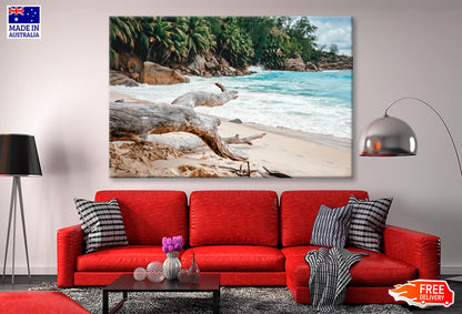 Rocks And Palm Trees Along the Shore, Seychelles Wall Art Decor 100% Australian Made - Bella Home Decor
