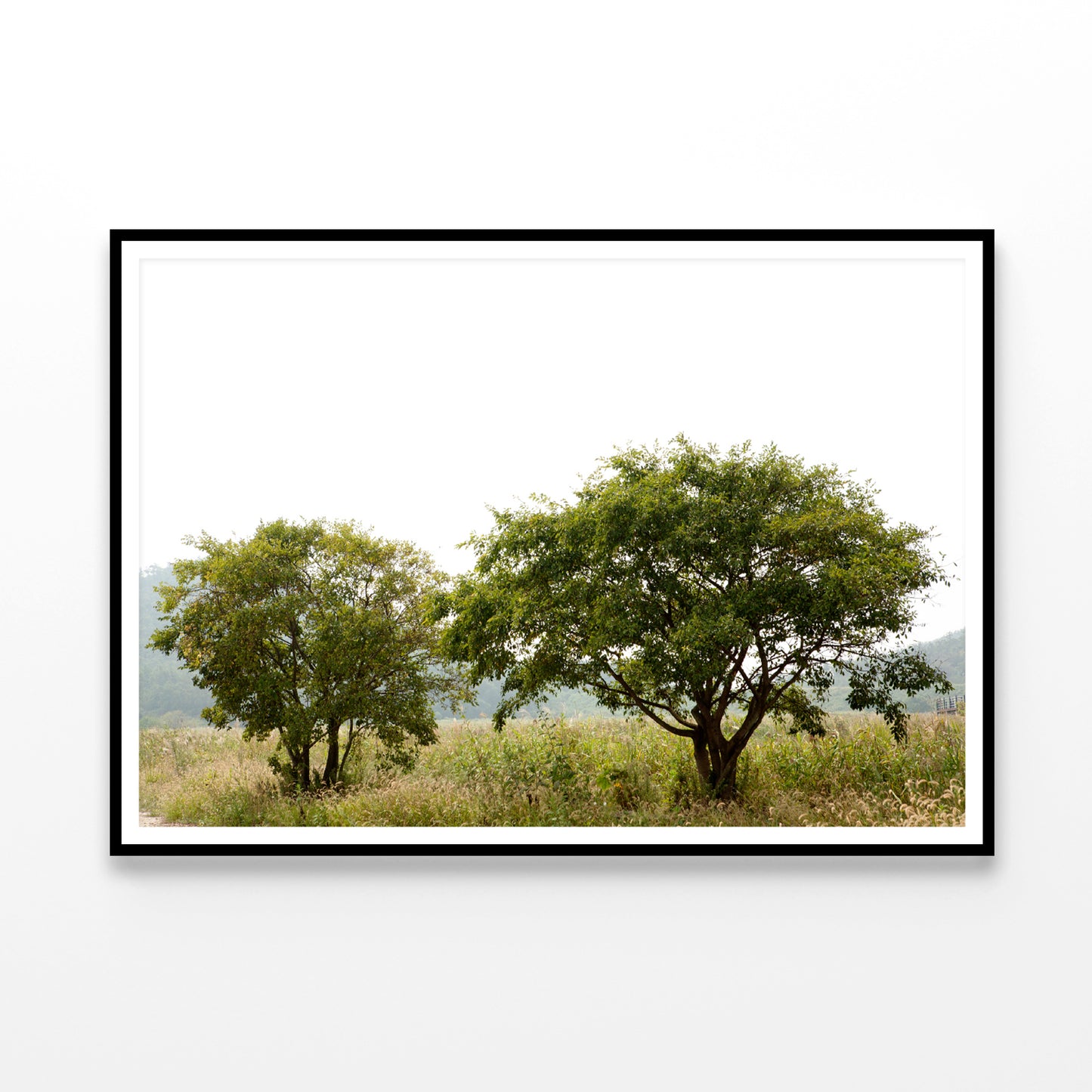 A Couple of Trees in the Grasslands under Sky Home Decor Premium Quality Poster Print Choose Your Sizes