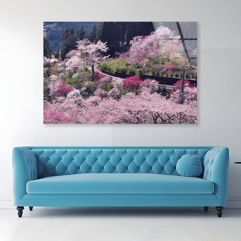 Beautiful Cherry Blossom in Japan Acrylic Glass Print Tempered Glass Wall Art 100% Made in Australia Ready to Hang - Bella Home Decor