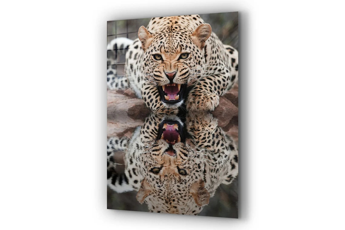 Leopard Reflect Water UV Direct Aluminum Print Australian Made Quality