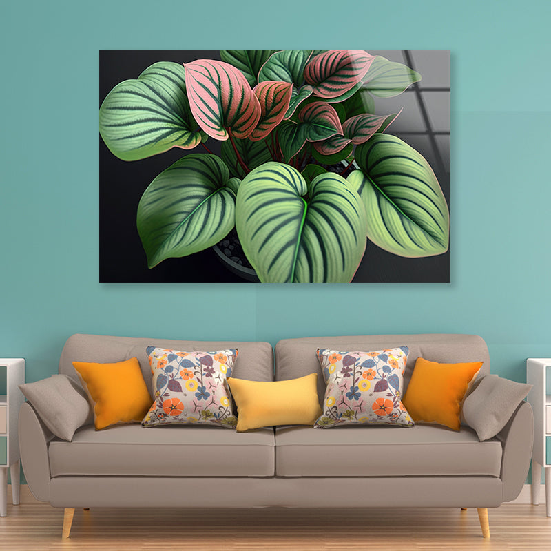 Green Orchid Flowers Pattern Acrylic Glass Print Tempered Glass Wall Art 100% Made in Australia Ready to Hang - Bella Home Decor