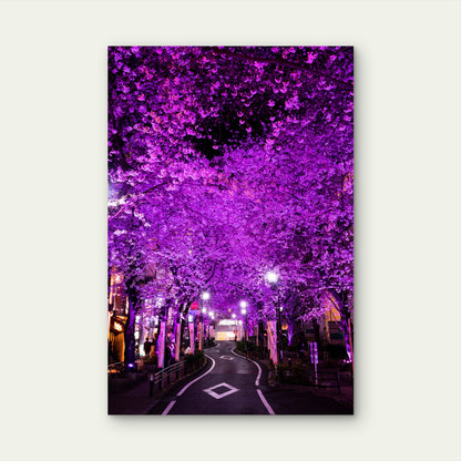 Japan Tokyo Roppongi Cherry Blossom Night 40x60cm Metal Print Ready to Hang