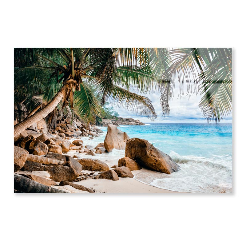 Rocks And Palm Trees Along the Shore Acrylic Glass Print Tempered Glass Wall Art 100% Made in Australia Ready to Hang