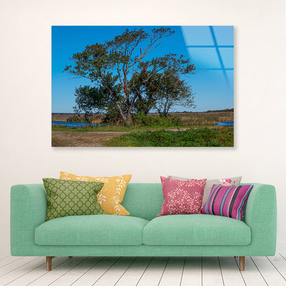 A Tree Standing In a Field on an Autumn Day Acrylic Glass Print Tempered Glass Wall Art 100% Made in Australia Ready to Hang