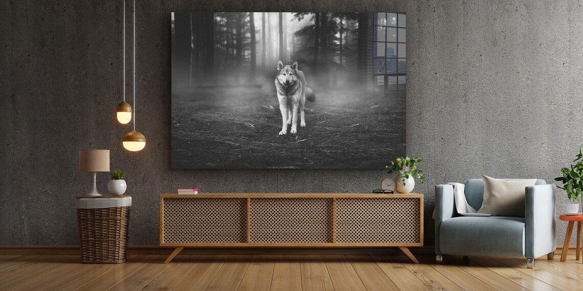 Wolf in Forest B&W UV Direct Aluminum Print Australian Made Quality