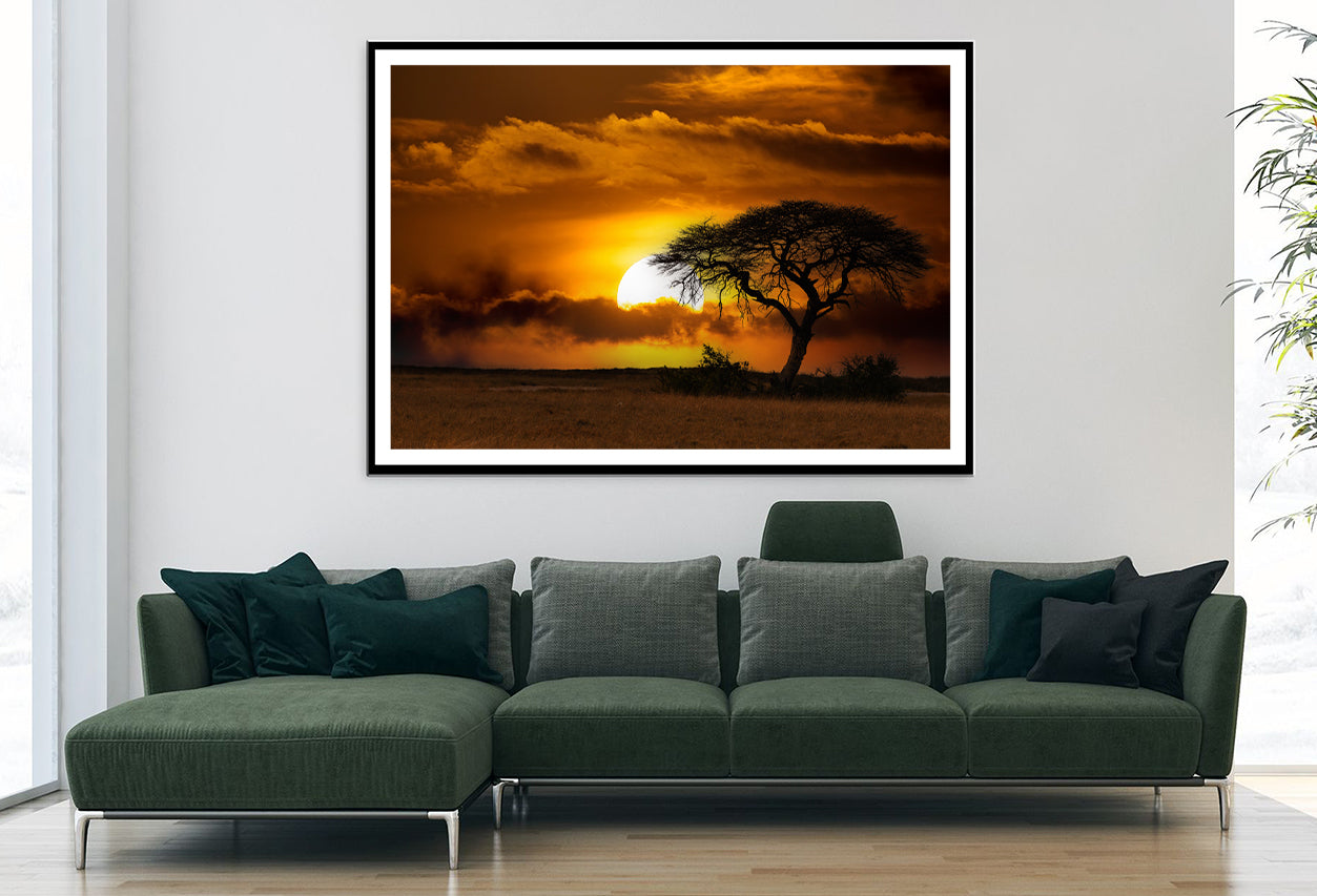 Sunset in Africa Over Acacia Tree Home Decor Premium Quality Poster Print Choose Your Sizes - Bella Home Decor