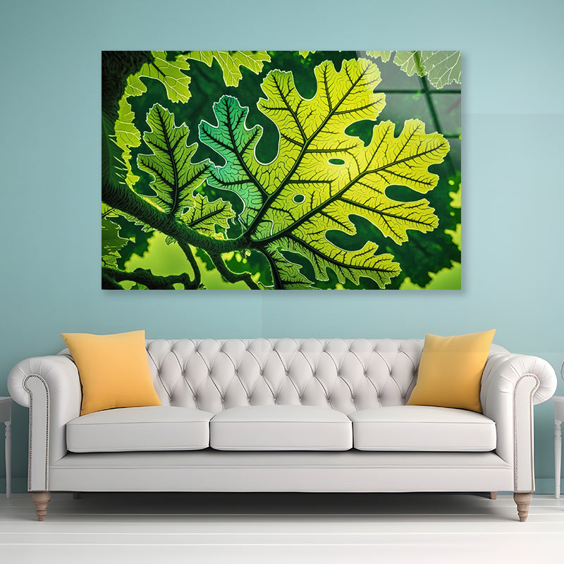 Close-Up Photo of A Green Leaf Acrylic Glass Print Tempered Glass Wall Art 100% Made in Australia Ready to Hang - Bella Home Decor