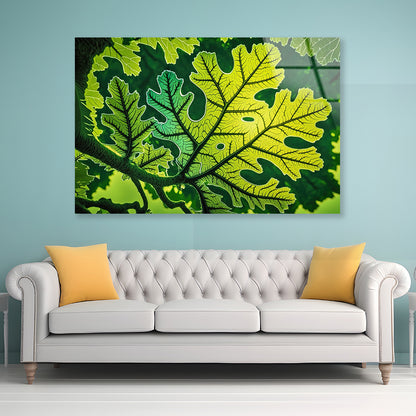 Close-Up Photo of A Green Leaf Acrylic Glass Print Tempered Glass Wall Art 100% Made in Australia Ready to Hang - Bella Home Decor