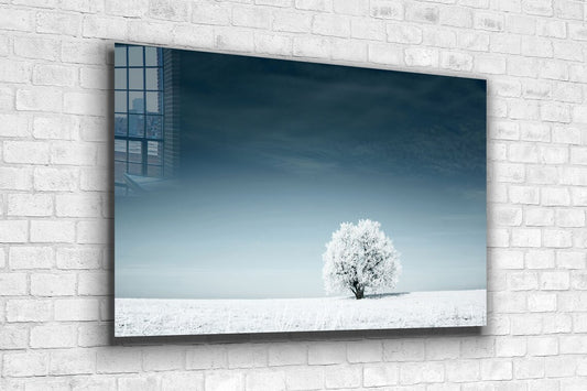 Snow Covered Alone Tree UV Direct Aluminum Print Australian Made Quality