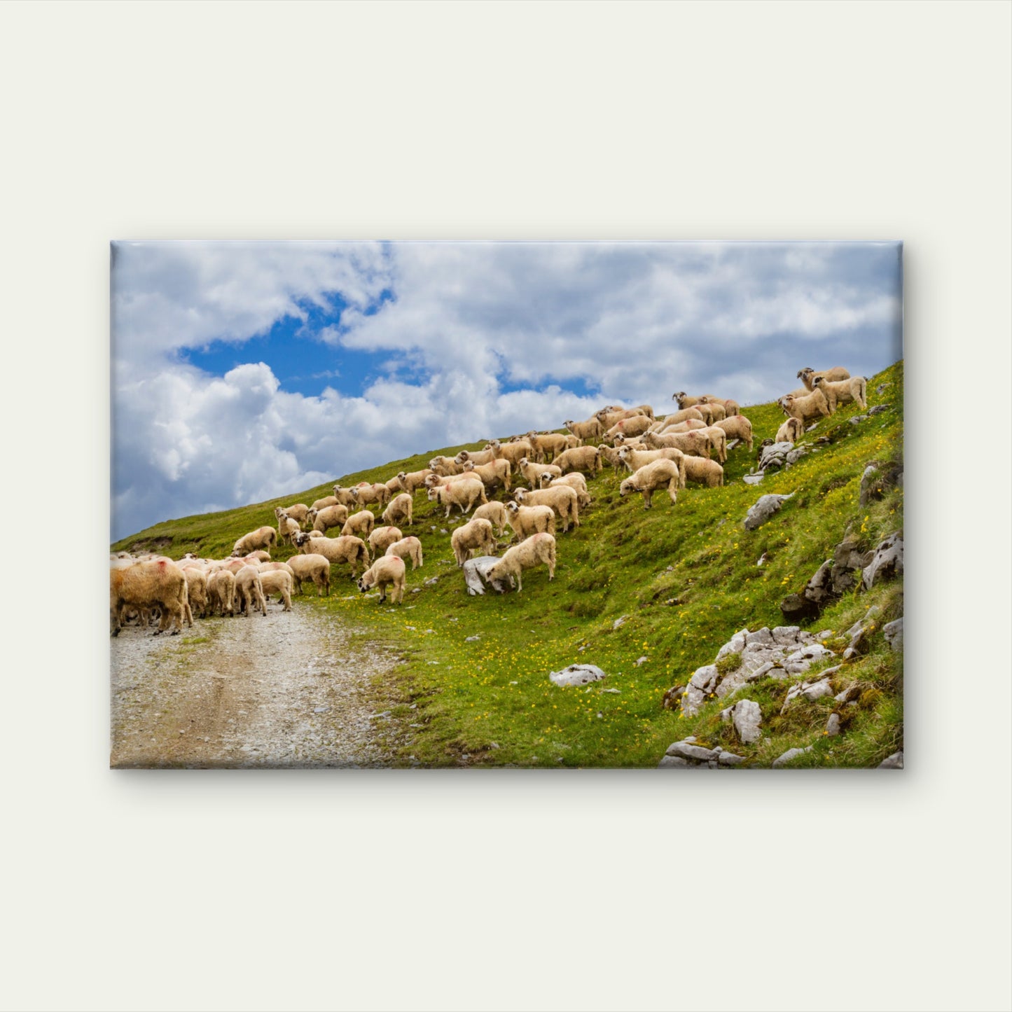 Sheep Meadow Fagaras Mountains Romania Wall Art Decor 100% Australian Made - Bella Home Decor