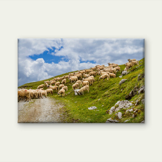 Sheep Meadow Fagaras Mountains Romania Wall Art Decor 100% Australian Made - Bella Home Decor