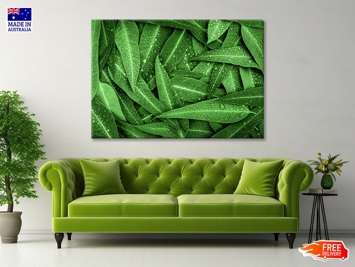 Water Droplets on Bunch of Leaves Print 100% Australian Made - Bella Home Decor