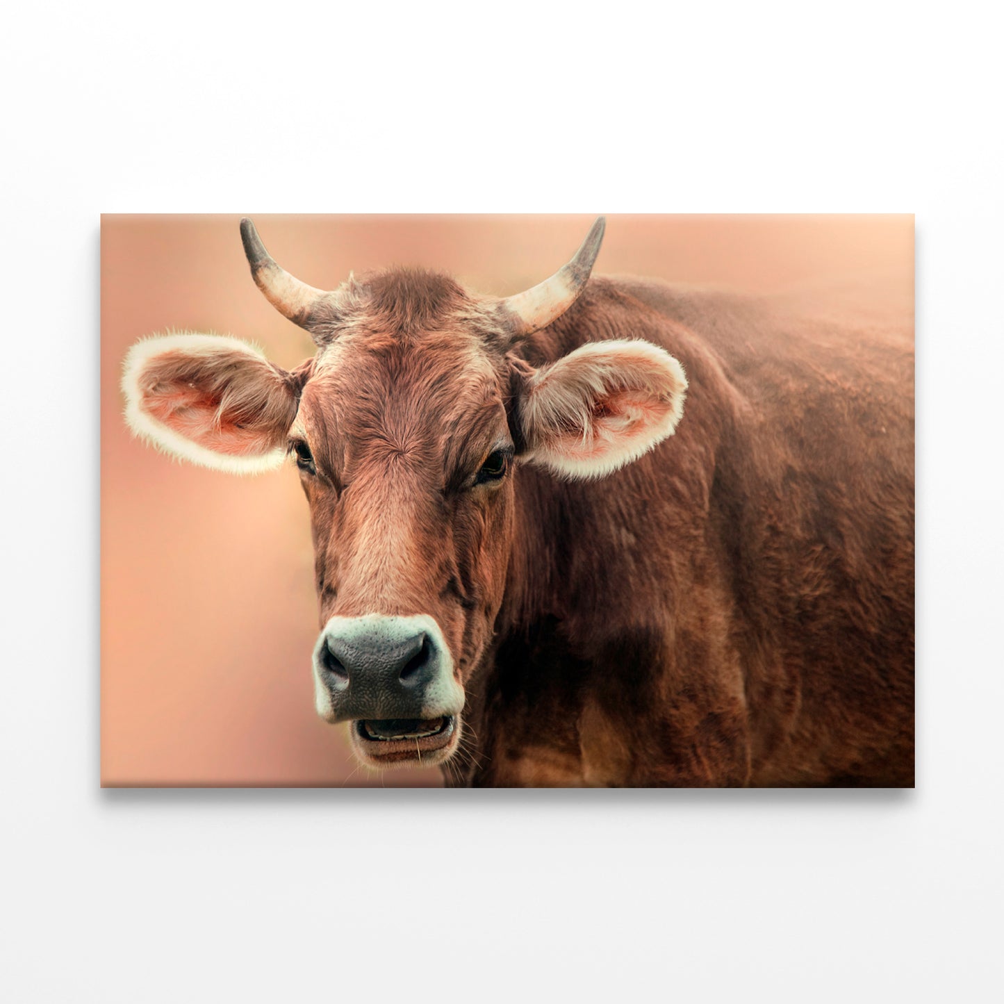 Portrait of Cow in the Forest Wall Art Decor 100% Australian Made - Bella Home Decor