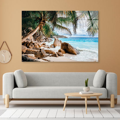 Rocks And Palm Trees Along the Shore Acrylic Glass Print Tempered Glass Wall Art 100% Made in Australia Ready to Hang