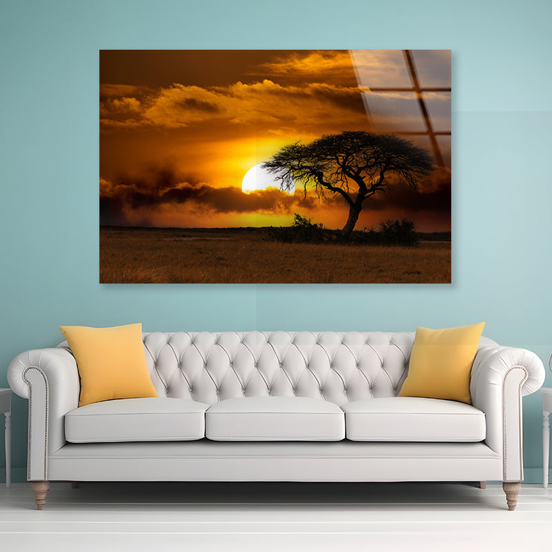 Sunset in Africa Over Acacia Tree Acrylic Glass Print Tempered Glass Wall Art 100% Made in Australia Ready to Hang - Bella Home Decor